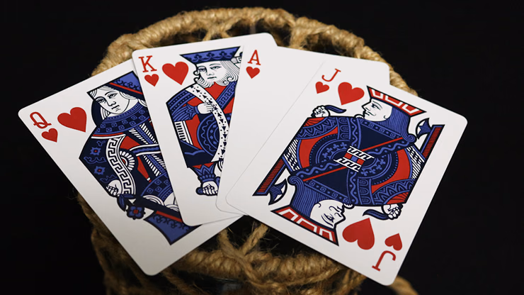 Bicycle Euchre Playing Cards - thumbnail 4