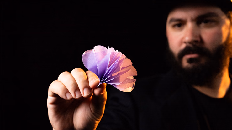 SPRING FLOWERS (2 PK PAPER) by Murphy's Magic - thumbnail 3