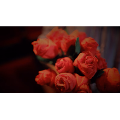The Saint-Exerpury Rose by Vincent Mendoza & Lost Art Magic - Video DOWNLOA - Download - thumbnail 3