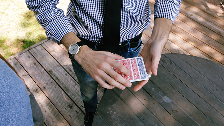 ReCard Monte by Steven Himmel video DOWNLOAD - Image 2