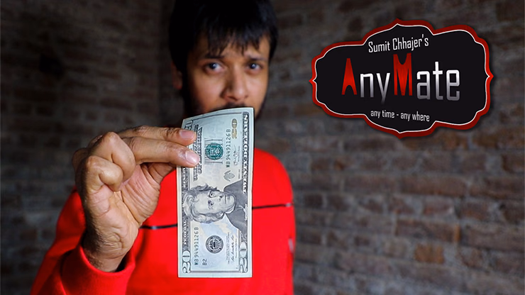 AnyMate by Sumit Chhajer video DOWNLOAD - Image 2