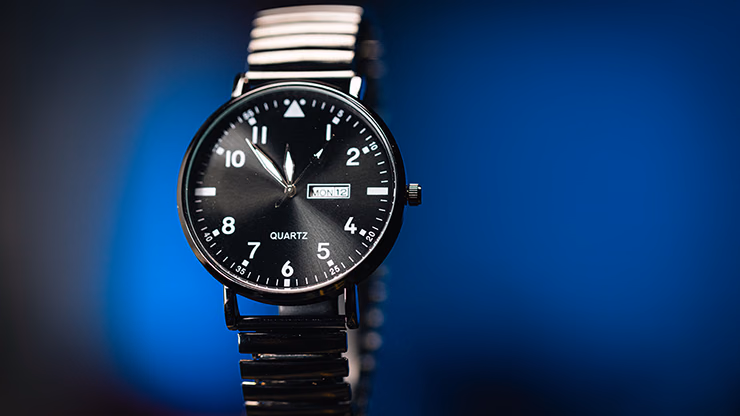Standard R.W.W. Left Hand (Ben Seidman's Ring Watch Wonder) - thumbnail 5