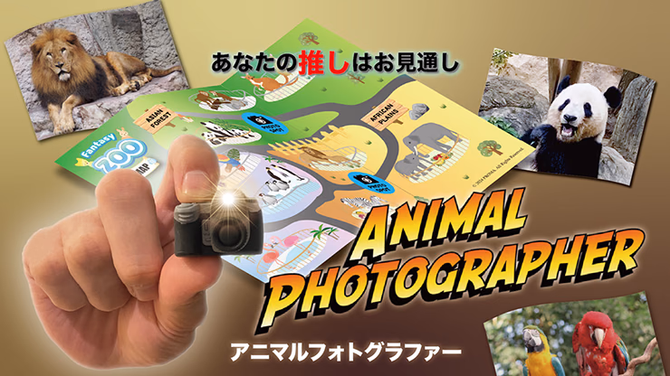 Animal photographer - thumbnail 4
