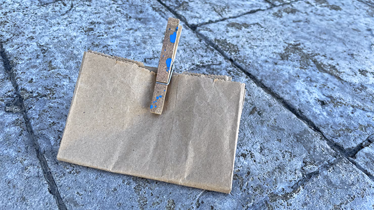Insta Bag by Rian Lehman video DOWNLOAD - thumbnail 3