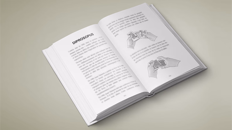 Multitude by Vincent Hedan - Book - Image 2