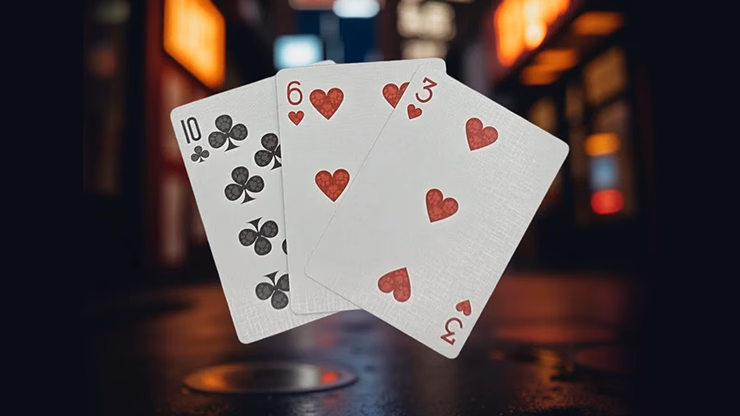 Biker Cats Playing Cards by Collectable Playing Cards - Image 2