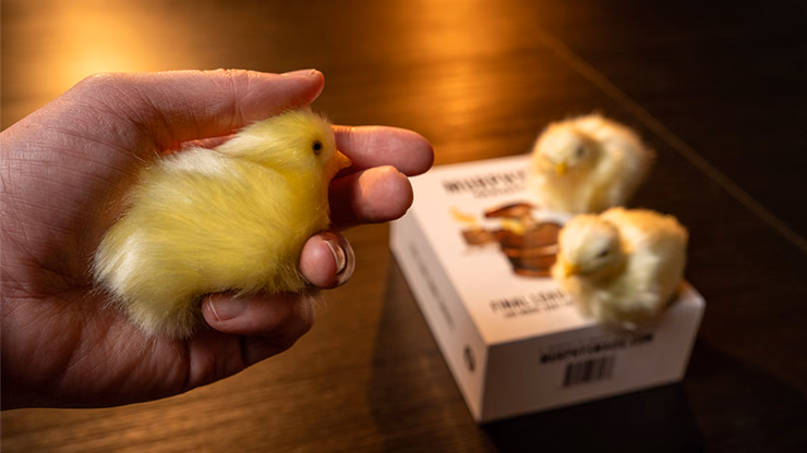 THE FINAL LOAD (Baby Chicks) by Murphy's Magic - Image 2