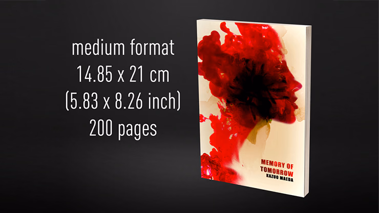 Babel Book Test 4 by Vincent Hedan (Memory of tomorrow), medium, 600 pages - magic trick