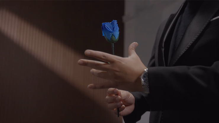 Eternal Rose by Bond Lee - thumbnail 4