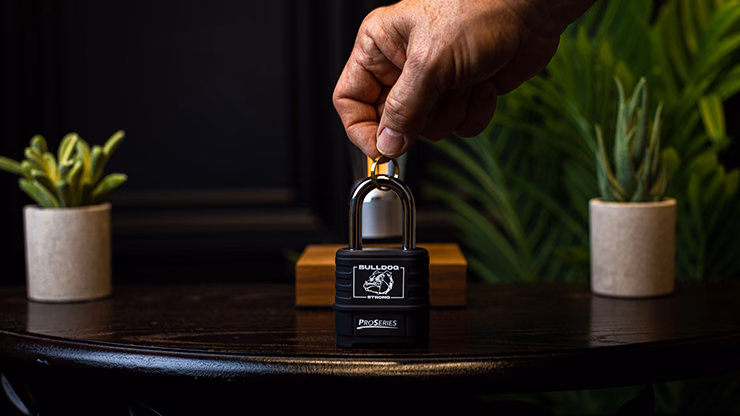 Sure Lock by James Kellogg Jr. - thumbnail 4