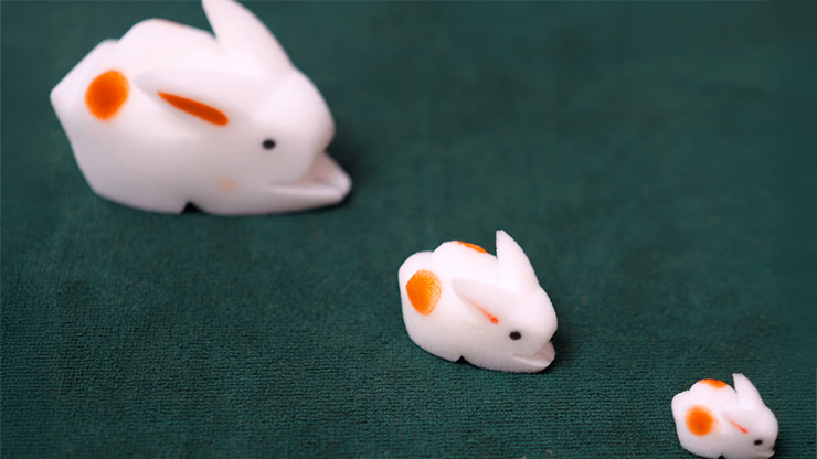 The Bunnies! 3D Rabbits (Parents, Kids & Grandpa) - Image 2