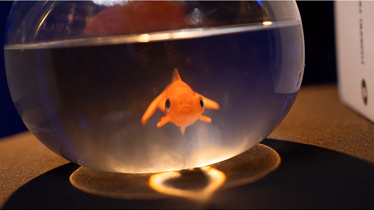 Fishbowl Production by Murphy's Magic - thumbnail 4