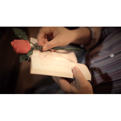 The Saint-Exerpury Rose by Vincent Mendoza & Lost Art Magic - Video DOWNLOA - Download - Image 2