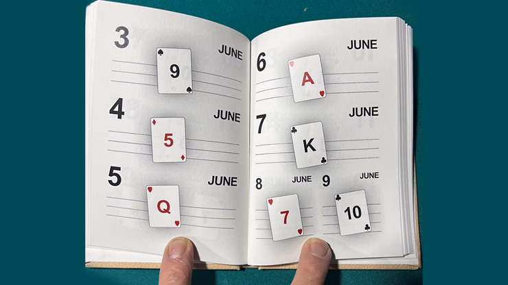 LS Diary by Leo Smetsers - Image 2