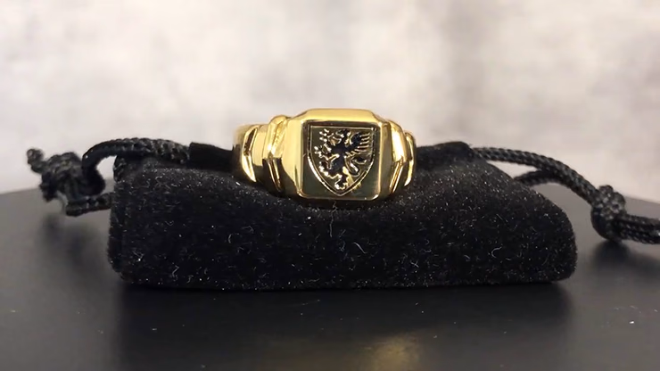 Regal Rings by David Regal - Trick - thumbnail 3