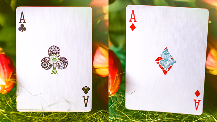 Butterfly Seasons Playing Cards Marked (Spring) by Ondrej Psenicka - thumbnail 5