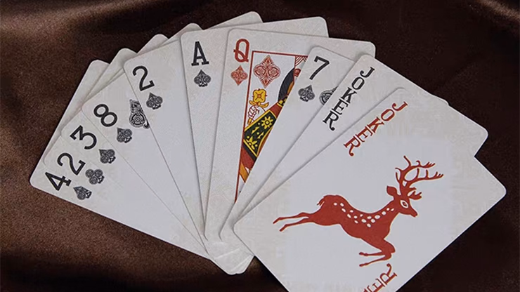 WANQUAN Playing Cards - thumbnail 5