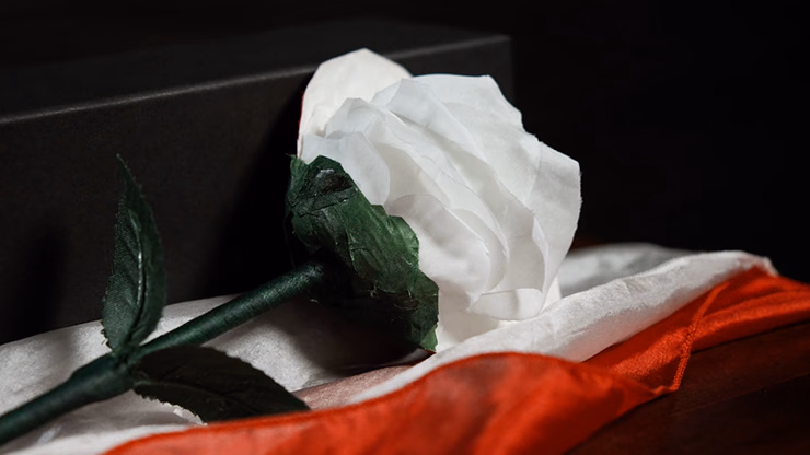 Fantasy Rose by Leon, Bond Lee & MS Magic - thumbnail 3