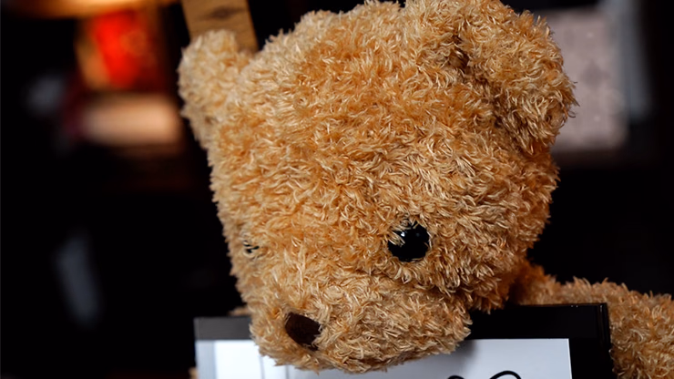 Teddy Unframed by Bond Lee & JC Magic - Image 2