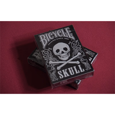 Bicycle Skull Metallic (Silver) USPCC by Gambler's Warehouse - Image 2