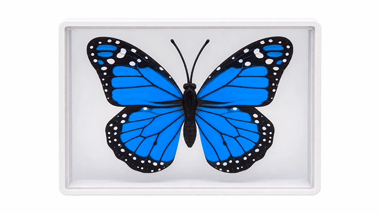 Omni Butterfly by Hyde Ren & Bacon Magic - Image 2